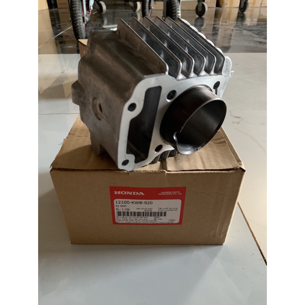 Xy lanh 110