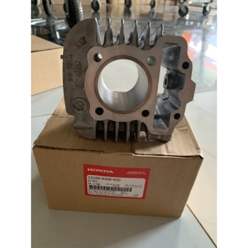 Xy lanh 110