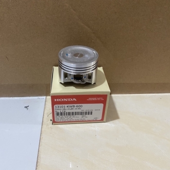 Piston 110 0.00