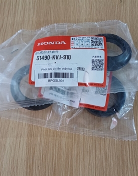 Phớt GS Lead liền chắn bụi