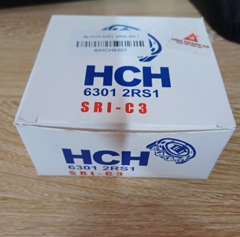 Vòng bi - 6301 - HCH ( đôi )
