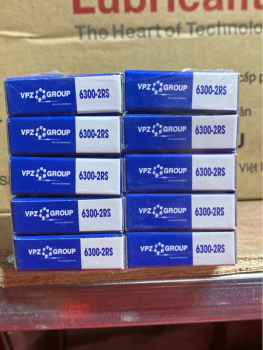 Vòng bi VPZ 6300 2RS Z3V3